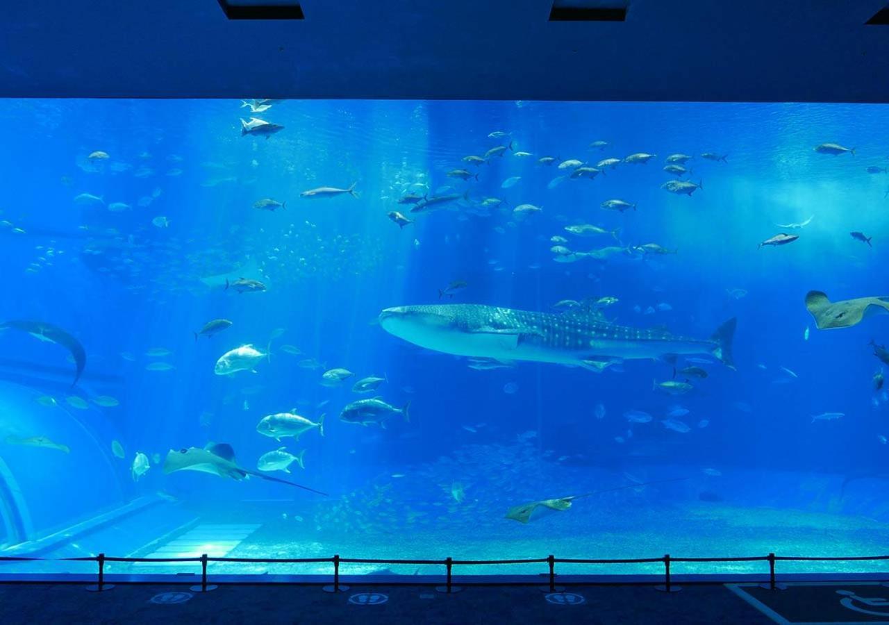 Hotel Mahaina Wellness Resorts Okinawa Exterior photo